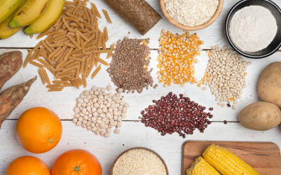 OUR GUT LOVES DIVERSITY