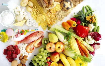 What are Macronutrients?